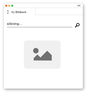 Microsoft Office & Adobe-støtte